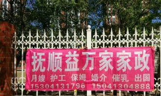 益万家家政婚介 以真诚服务搭建幸福桥梁